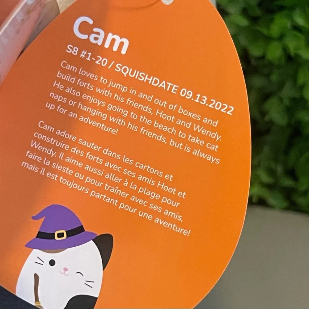 Cam the Cat Witch Winking w Broomstick/ Hat Halloween Squishmallows 8